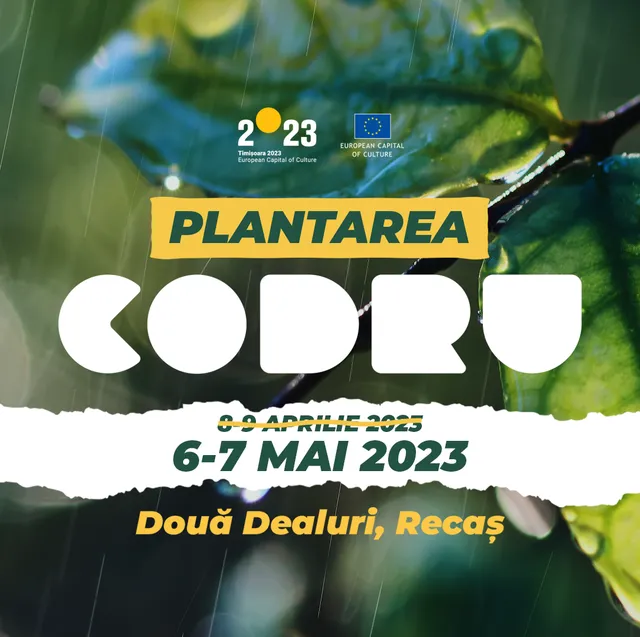 CODRU Planting