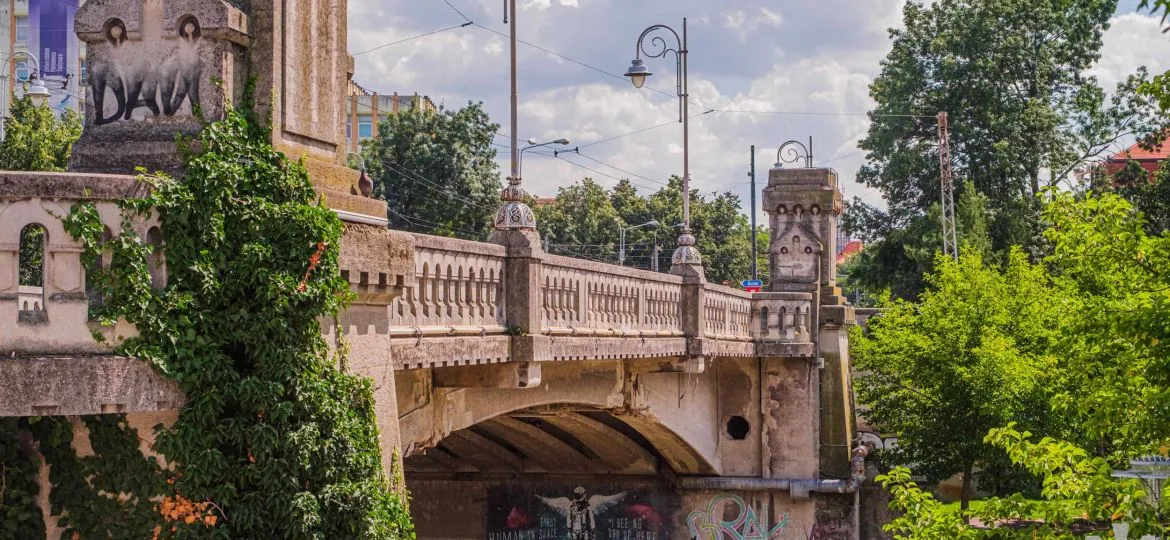 Andrei Șaguna Bridge