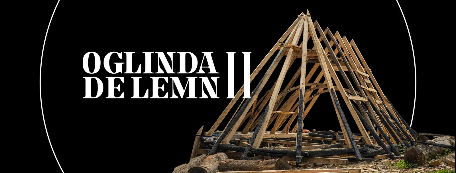 Oglinda de lemn II