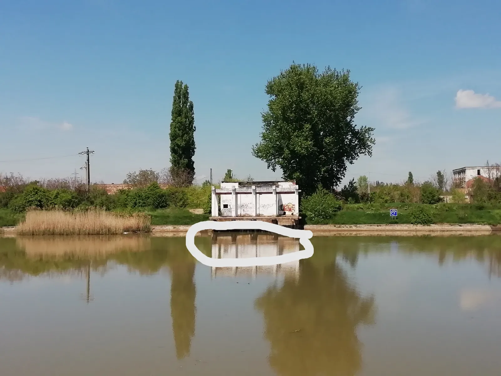 Trapped Nature: Instalation by Ana Kun